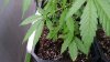20160917_191340.jpg