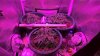 WP_20160918_16_09_34_Rich.jpg