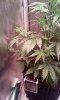 20160918_172825.jpg