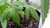 20160920_173051.jpg