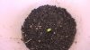 WP_20160920_16_40_21_Pro.jpg