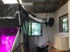 Rickys garden (17).jpg