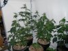 DSCN0283.jpg