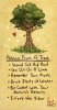 advice cool tree.jpg