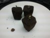 2012-04-12 18.22.54.jpg