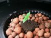 2012-04-15 04.38.41.jpg