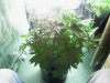 2012-05-14 01.28.52.jpg