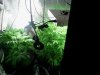2012-05-14 03.51.44.jpg