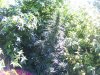 100_5142.jpg