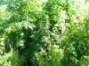 100_5144.jpg