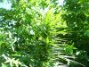 100_5145.jpg