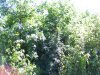 100_5146.jpg