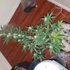 20160927_105609.jpg