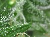 _20160926_385.JPG