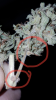 20160929_002841.png