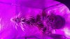 20160928_214826.jpg