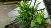 20160928_214856.jpg