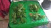 IMG-20160928-WA0005.jpeg