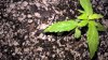 WP_20161001_06_53_50_Pro.jpg