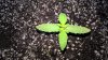WP_20161001_06_53_44_Pro.jpg