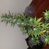 20161002_195648.jpg