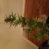 20161006_095718.jpg