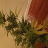 20161006_095704.jpg