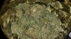 Jar3.jpg