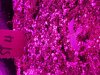 20161008_105912.jpg