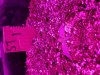 20161008_105851.jpg 20161008_105851.jpg