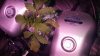 20161012_083953.jpg