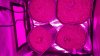 20161012_082742.jpg