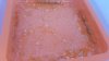 20161008_141422.jpg
