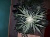 20161016_105512.jpg