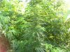100_5176.jpg