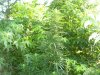 100_5178.jpg