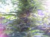 100_5180.jpg