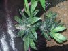 20161015_165342.jpg