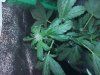 20161015_165330.jpg