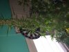 20161021_145033.jpg