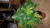 20161023_154517.jpg