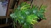 20161023_154323.jpg