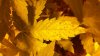 20161024_190932.jpg