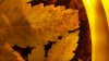 20161024_190925.jpg