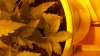 20161024_190910.jpg
