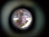 20161024_224415.jpg