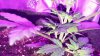 20161025_070449.jpg