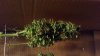 IMG-20161025-WA0004.jpeg