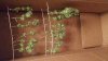 IMG-20161025-WA0001.jpeg