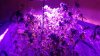 20161029_101909.jpg